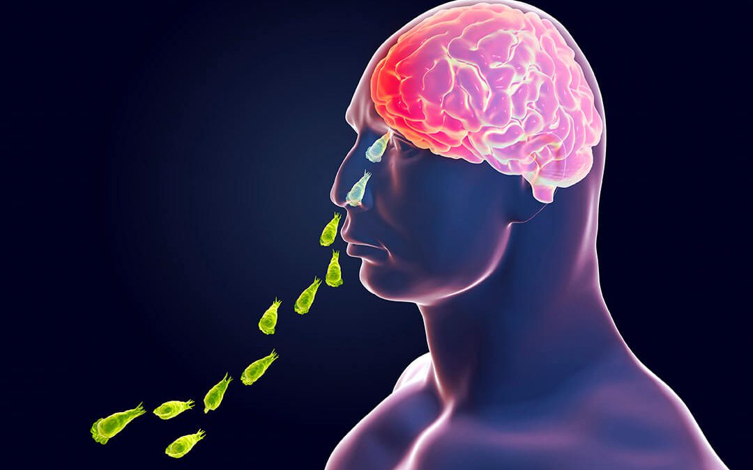 Brain Eating Amoebas